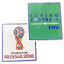 2018 Russia FIFA World Cup