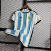 2022 FIFA World Cup Argentina National Team Jersey Home detail view