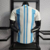 2022 FIFA World Cup Argentina National Team Jersey Home -Player Version back view