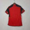2022 FIFA World Cup Belgium Home Soccer Shirt back view