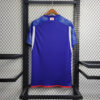 2022 FIFA World Cup Japan Home Football Jersey back view