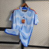 2022 FIFA World Cup Spain Away Soccer Shirt detail view