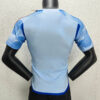 2022 FIFA World Cup Spain Away Soccer Shirt -Player Version back view