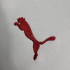 2022/2023 AC Milan Away Soccer Jersey detail view