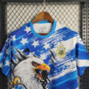 2022/2023 Argentina Special Edition Jersey detail view