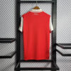 2022/2023 Arsenal Soccer Jersey Home back view