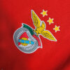 2023/2024 Benfica Home Football Shirt detail view