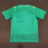 2023/2024 Cameroon National Team Home Shirt back view