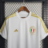 2023/2024 Italy 125th Commemorative Edition Soccer Shirt detail view