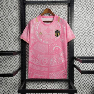 2023/2024 Italy Special Edition Pink Soccer Shirt