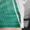 2023/2024 Palmeiras Away Football Shirt detail view