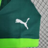 2023/2024 Palmeiras Home Football Shirt detail view