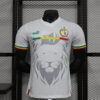 2023/2024 Player Version Senegal National Team Away Shirt front view