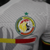 2023/2024 Player Version Senegal National Team Away Shirt detail view