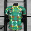 2023/2024 Player Version Senegal National Team Home Shirt front view