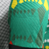 2023/2024 Player Version Senegal National Team Home Shirt detail view
