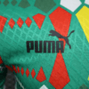 2023/2024 Player Version Senegal National Team Home Shirt detail view