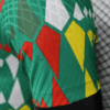 2023/2024 Player Version Senegal National Team Home Shirt detail view