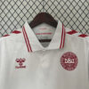 2024 Denmark National Team Away Football Shirt detail view