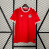 2024 Denmark National Team Home Football Shirt front view