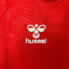 2024 Denmark National Team Home Football Shirt detail view
