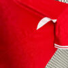 2024 Denmark National Team Home Football Shirt detail view