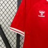 2024 Denmark National Team Home Football Shirt detail view