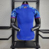 2024 Japan Dragon Ball Football Shirt -Player Version back view