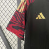 2024 Peru National Team Away Football Shirt detail view