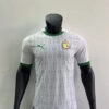 2024 Player Version Senegal National Team Home Football Shirt front view