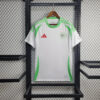2024/2025 Algeria Home Football Shirt front view