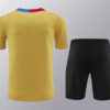 2024/2025 Barcelona pre-match training Glod Shirt+Shorts detail view