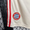 2024/2025 Bayern Munchen Third Away Shorts detail view