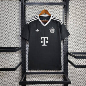 2024/2025 Bayern Munich Training Wear Football Jersey