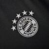 2024/2025 Bayern Munich Training Wear Football Jersey detail view