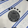 2024/2025 Fenerbahce Away Football Shirt detail view