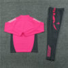 2024/2025 Germany Pink Half-Pull Tracksuit back view