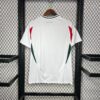 2024/2025 Hungary Euro Away Football Jersey detail view