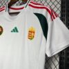2024/2025 Hungary Euro Away Football Jersey detail view