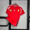 2024/2025 Hungary Euro Home Football Jersey front view