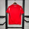 2024/2025 Hungary Euro Home Football Jersey detail view