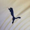 2024/2025 Manchester City Special Edition Football Shirt detail view