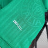 2024/2025 Palmeiras Home Football Shirt detail view