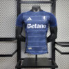 2024/2025 Player Version Aston Villa Third Away Football Shirt front view