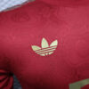 2024/2025 Player Version Bayern Munchen 125th Anniversary Football Shirt detail view