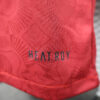 2024/2025 Player Version Bayern Munchen 125th Anniversary Football Shirt detail view