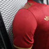 2024/2025 Player Version Bayern Munchen 125th Anniversary Football Shirt detail view