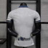 2024/2025 Player Version Inter Milan Away Special Football Shirt back view