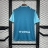2024/2025 Real Betis Third Away Football Shirt back view