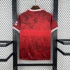 2025-2026 Stuttgart Away Shirt Football back view